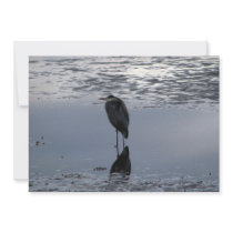 Heron Reflected Personalized Announcement