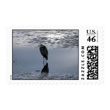 Heron Reflected Postage