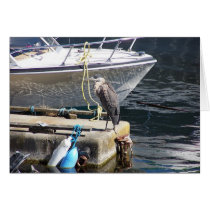 Heron Reflections cards