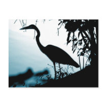 Heron Silhouette Postcard