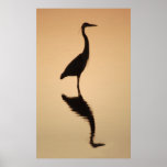 Heron Silhouette posters