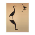 Heron Silouette postcards