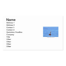 Heron Singing on the Ocean Business Cards