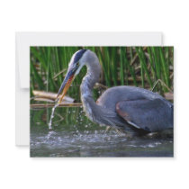 Heron Splash invitations by paulnsheryl Heron Splash invitations