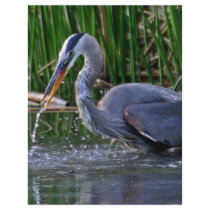 Heron Splash Letterhead