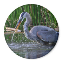 Heron Splash magnets by paulnsheryl Heron Splash magnets