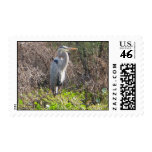heron stamp stamps