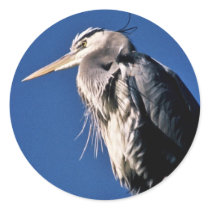 Heron Round Stickers