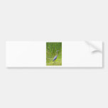 Heron Walk Bumper Sticker