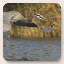 Heron with Fish Drink Coasters