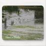 Herons in Harlan Mousepad