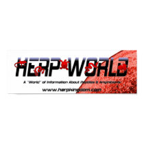 Herp World Poster poster