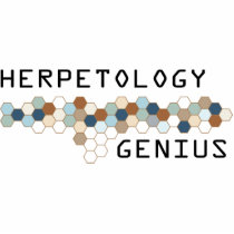 Herpetology Genius photo sculptures by itsallhot Herpetology Genius photo sculptures