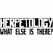 Herpetology What Else Is There? photo sculptures by busybrain Herpetology What Else Is There? photo sculptures