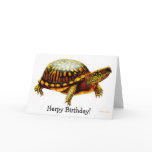 Herps Herpy Birthday Turtle Card
