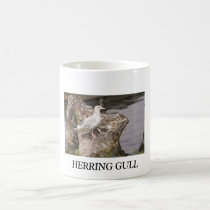 HERRING GULL mugs
