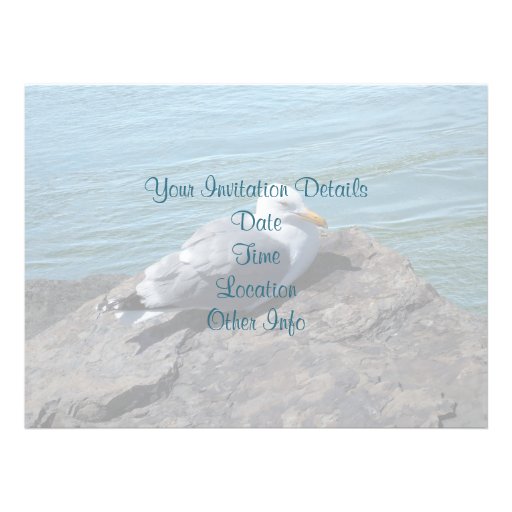 Herring Gull Resting on Rock Jetty: Custom Announcement