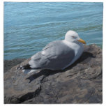 Herring Gull Resting on Rock Jetty: Napkins