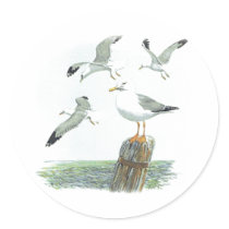 Herring Gull Sticker by orglioness Herring Gull Sticker