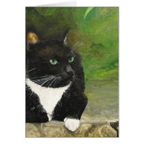 Hershey Cat Fine Art Notecards cards