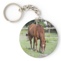 hershey key chain