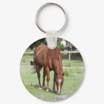 hershey keychains
