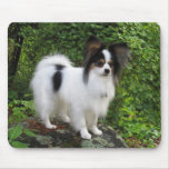 Hershey Kiss Hero Kennel Mousepad Features Giorgio