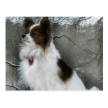 Hershey Kiss Hero Kennel Postcard