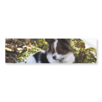 Hershey Kiss Hero Kennel Sticker Bumper Sticker