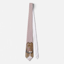 Hershey Tie by MPRShop Hershey Tie