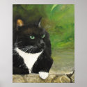 Hershey Tuxedo Cat Art Print