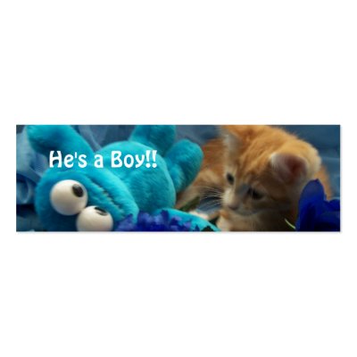 He's a Boy!! Business Card Templates by KatAnnette