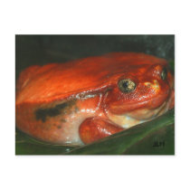 He's big & he's red, but he ain't no soda! postcards