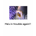 He's in trouble again!! t-shirts by angelhmm He's in trouble again!! t-shirts