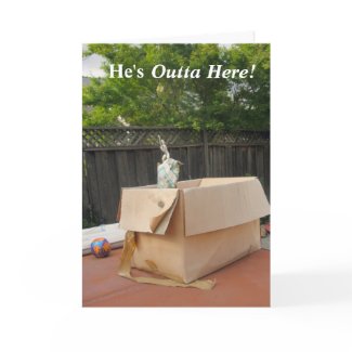 He's Out of Here! Bye Boyfriend card