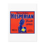 Hesperian Fruits Apples Postcard