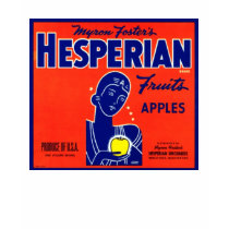 Hesperian Fruits Apples t-shirts by AllVintage Hesperian Fruits Apples t-shirts