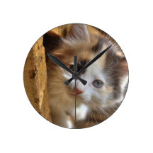 Heterochromia Calico Kitten Clocks