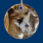 Heterochromia Calico ornaments