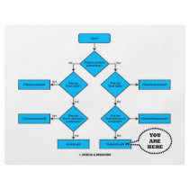 Heterotroph Flow Chart - You Are Here flyers