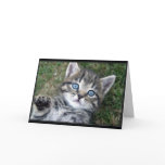 "Hewwo" Kitty Card