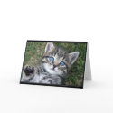 "Hewwo" Kitty cards