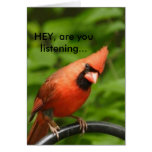 HEY, are you listening... Greeting Card