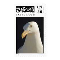 Hey Big Fella Postage Stamp by sruhs Hey Big Fella Postage Stamp