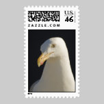 Hey Big Fella Postage Stamp