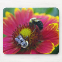 Hey Buz, does this flower make my butt look big? mousepads