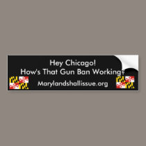 Hey Chicago! How's That Gun Ban Working? bumper stickers