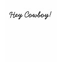 Hey Cowboy! t-shirts