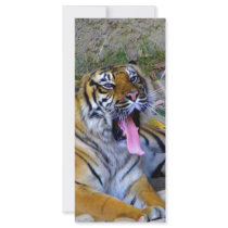 Hey_ Customized Rack Card
