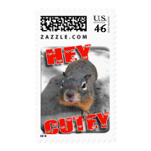 Hey cutey funny squirrel stamps